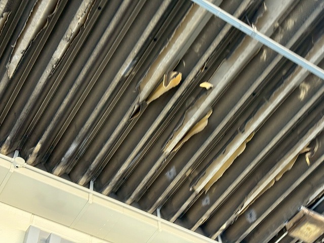 別角度の塗膜剥がれ写真